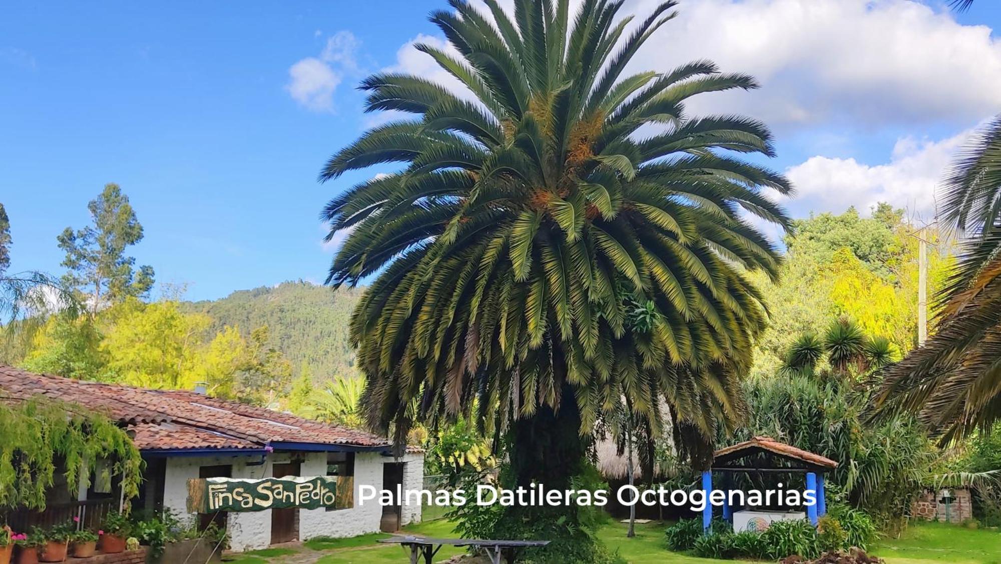 Finca San Pedro -Alojamiento Campestre Y Reserva Natural- Sogamoso Kültér fotó