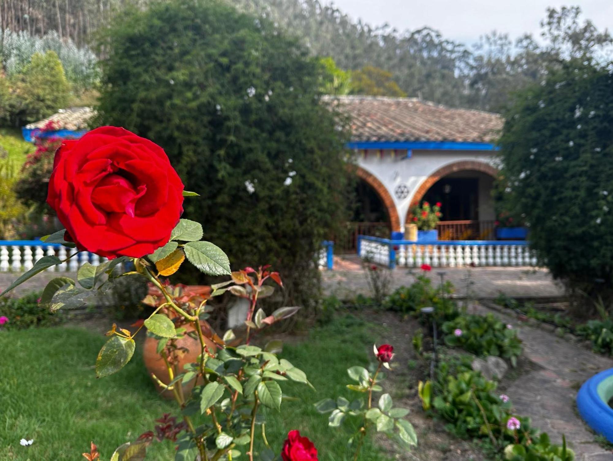 Finca San Pedro -Alojamiento Campestre Y Reserva Natural- Sogamoso Kültér fotó