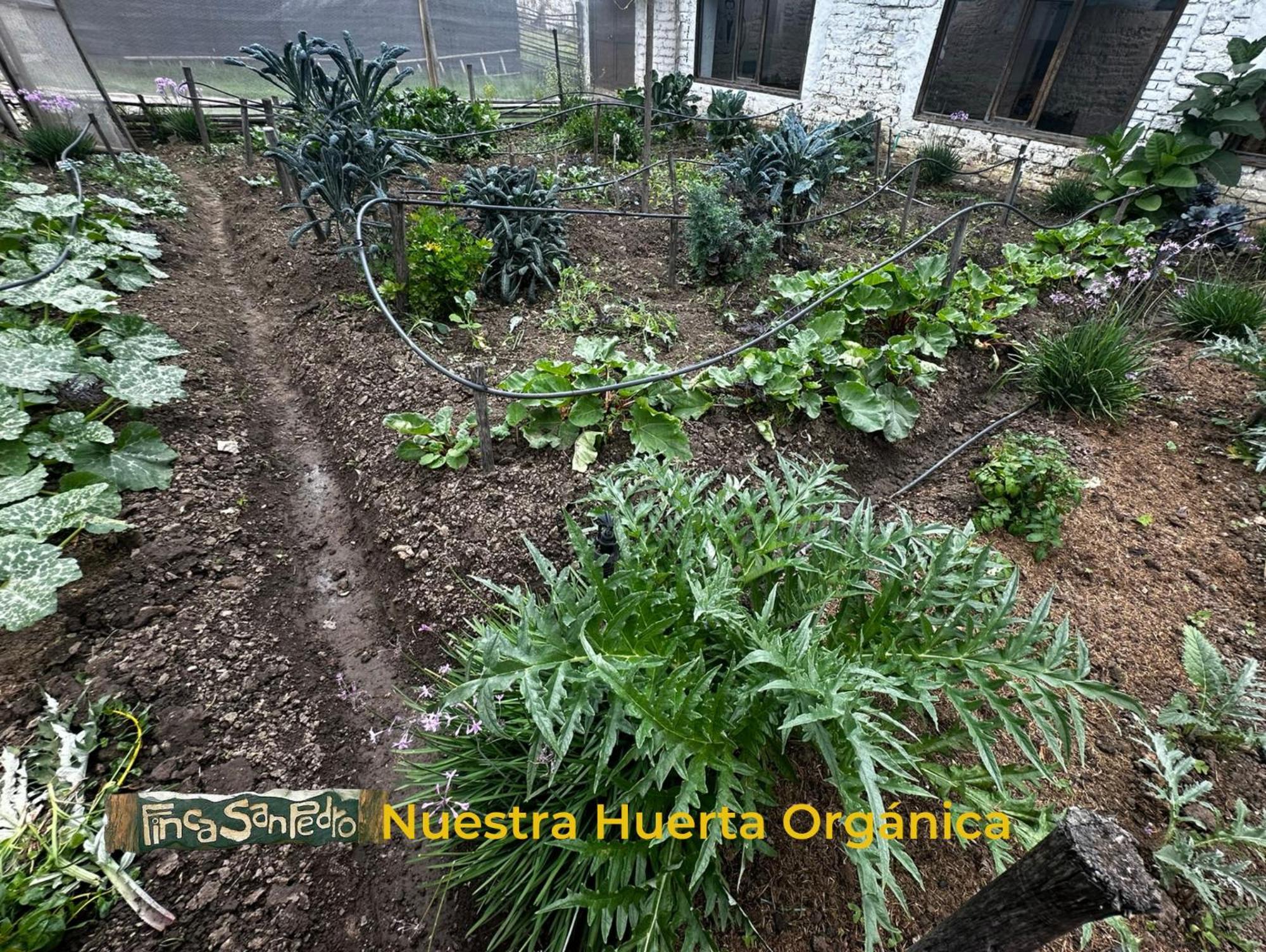 Finca San Pedro -Alojamiento Campestre Y Reserva Natural- Sogamoso Kültér fotó